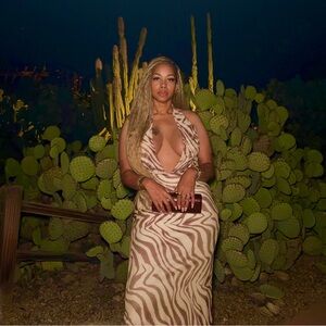 Zara Zebra Print Maxi Dress